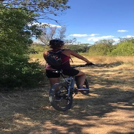 빌라 Tranquil Vineyard Villa,