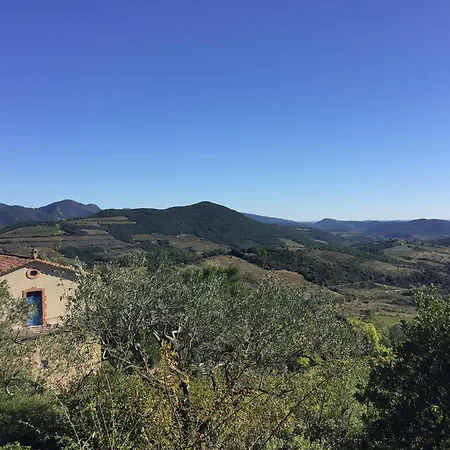 Tranquil Vineyard Villa, 빌라 *