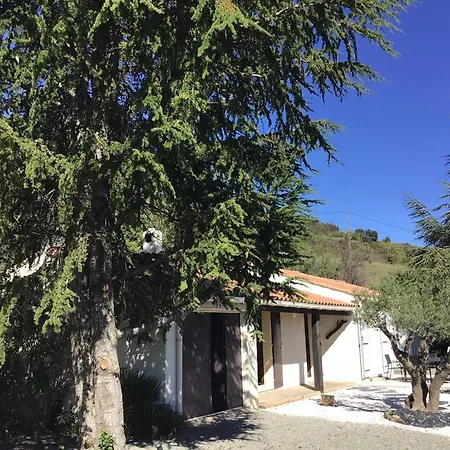 Tranquil Vineyard Villa, فيلة