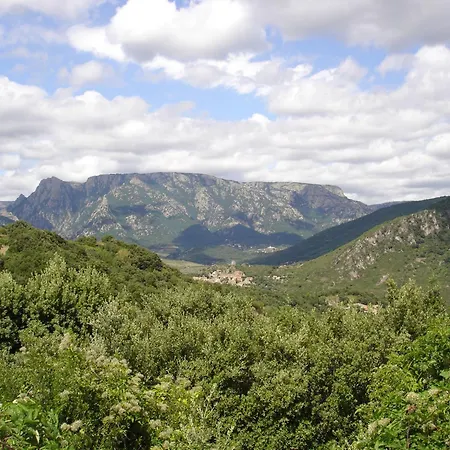 Tranquil Vineyard Villa, *