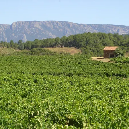 Villa Tranquil Vineyard Villa,