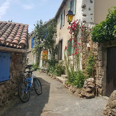 Tranquil Vineyard Villa, Berlou