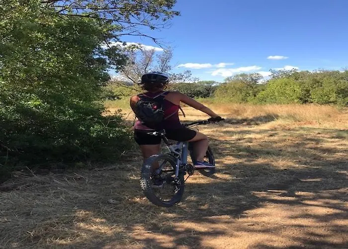 فيلة Tranquil Vineyard Villa,