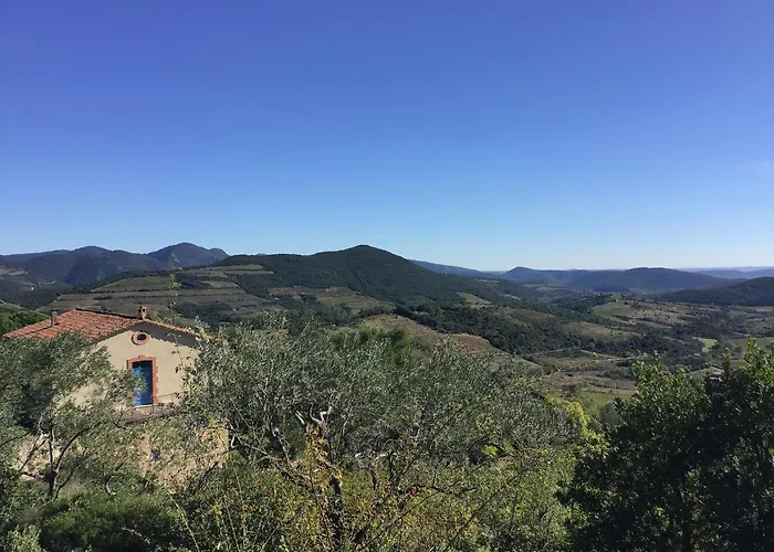 Tranquil Vineyard Villa, فيلة *