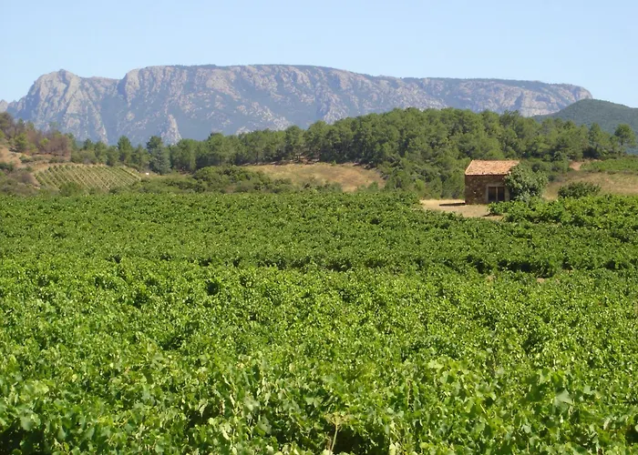 فيلة Tranquil Vineyard Villa,